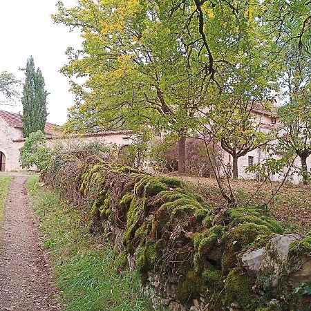 Bed and Breakfast Les Granges De L Abbaye Ginals Esterno foto