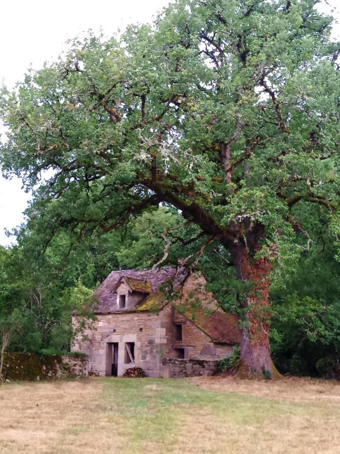 Bed and Breakfast Les Granges De L Abbaye Ginals Esterno foto